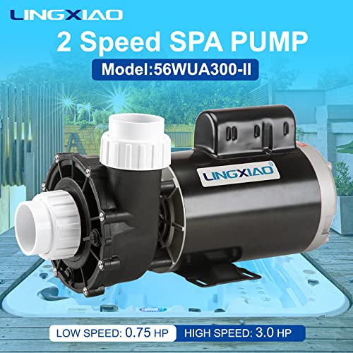 Image of 2 Speed Hot Tub SPA Pumps - 3HP SPA Pump - 56 Frame LX SPA Pump Motor 220-240V, 2 inch Port - (Mode: 56WUA300-II)