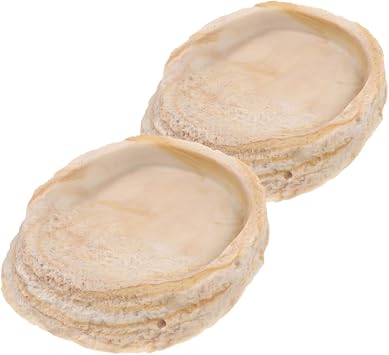 MERRYHAPY 2pcs Pet Bowl Hat Lizard Tweezer Kit Pond Pump Aquarium Collapsible Bearded Dragon Water Dish Soak Coop Reptiles Tortoise Food Reptile Reptile Water Feeder Beige Resin