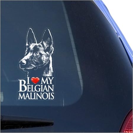 Belgian Malinois Stickers | Redbubble