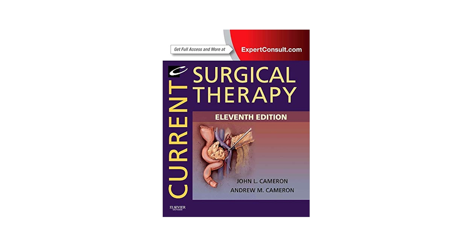 Current Surgical Therapy: Expert Consult - Online and Print