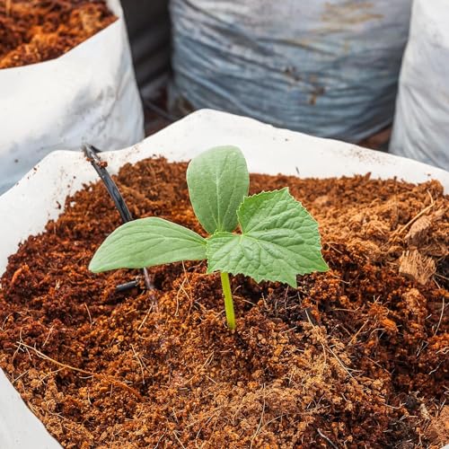 Image of Grow Rich Premium 2-Pack 1 kg Cocopeat Blocks - Boost Your Garden with 100% Natural Eco-Friendly Cocopeat for Home, Hydroponics, and More - Brown
