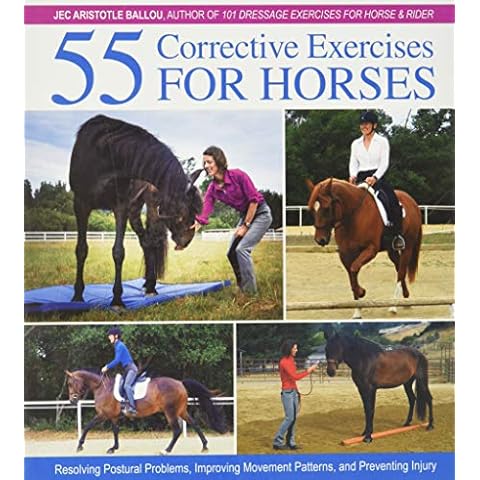 55 Corrective Exercises for Horses: Resolving Postural Problems, Improving Movement Patterns, and Preventing Injury Cover