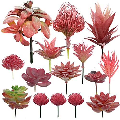 Cayway 15 PCS Artificielles Plantes Succulentes Rouge Succulentes Artificielles Succulentes Artificielles Décoratives pour La Maison Jardin Intérieur Décoration