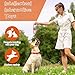 AMFUN 11 Stück Hundespielzeug Set, Hundespielzeug Kleine Hunde, Plüsch Hundespielzeug Mit Quietscher, Quietschend Kauspielzeug für Kleine Mittlere Hunde, Plüschspielzeug für Welpen