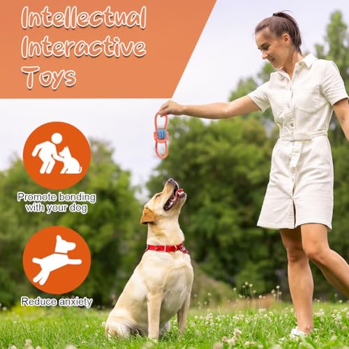 AMFUN 11 Stück Hundespielzeug Set, Hundespielzeug Kleine Hunde, Plüsch Hundespielzeug Mit Quietscher, Quietschend Kauspielzeug für Kleine Mittlere Hunde, Plüschspielzeug für Welpen