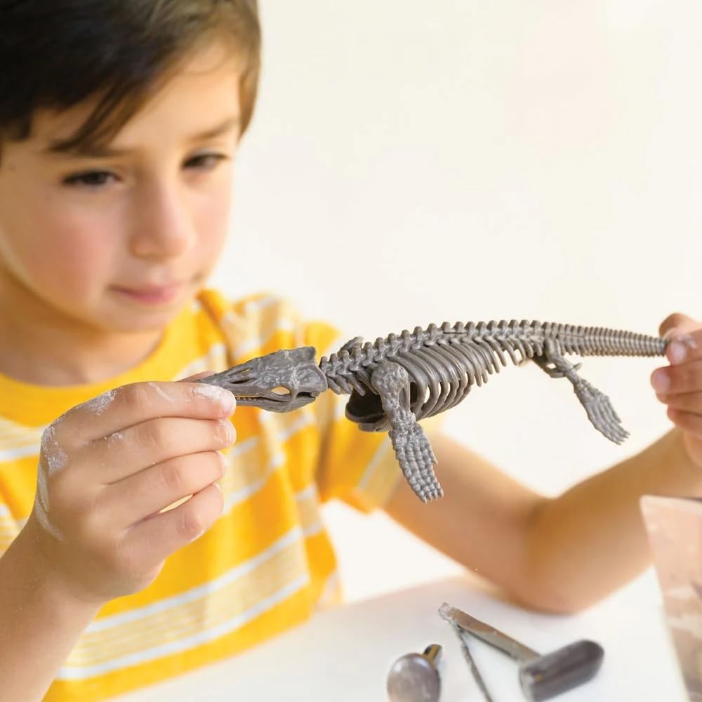 Amazon.com: 4M Dig a Mosasaurus Skeleton - Educational Fossil