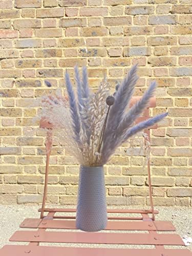 Woidxzxza FLOWER BY NATRUE Dried Grey Primary Pampas Grass Collection 40 Stems 45CM Natural Artificial Pampas Decor Including Bunny Tails, Wheat, Reed Plants Boho Home Decoration Dried Flowers