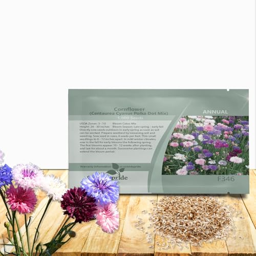 Outsidepride Polka Dot Mix Cornflower Seeds for Planting - 1000 Pcs. Annual Bachelor's Button Flower Seeds for Cut Flower Gardens, Drought-Tolerant, Attracts Pollinators, Ideal for Borders & Bouquets