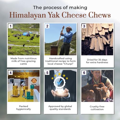 Image of Dogsee Peanut Butter Infused 100% Natural Yak Chew Bones for Dogs 140 gm (Medium - 2 Chews) Healthy Alternative to Rawhide - High Protein, All Life Stages
