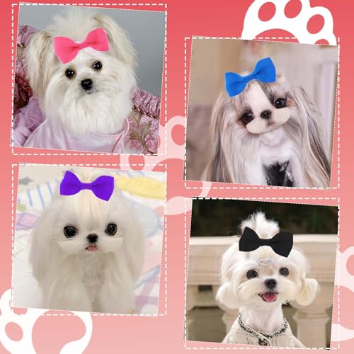 Bremorou 40 Stück Haarschleifen für Hunde Hunde Zopfgummis Hundehaarschleifen Haarband Yorkshire Schleife Gummibänder Haarschmuck Mit Gummibändern Haarschleifen für Kleine Katzen Welpen Haustiere