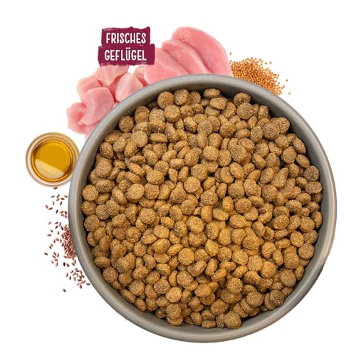 Chicopee Classic Nature Line | Maxi Puppy | Hundefutter trocken | Mit Geflügel & Hirse | Weizenfrei | Bedarfsgerechtes Life-Cycle-Konzept | Inspiriert von der Natur Kanadas | 15 kg