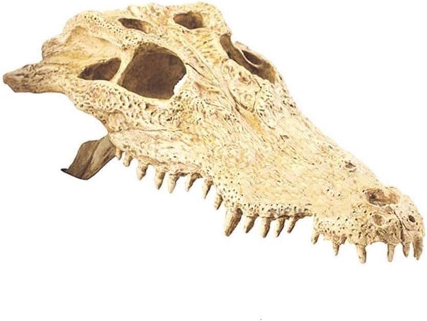 Simulation Skull Reptile Hideout, Reptile Cave Box- Habitat Corner Decor Snake Lizard Chameleon Hideouts Reptile Box Accessories Ornaments