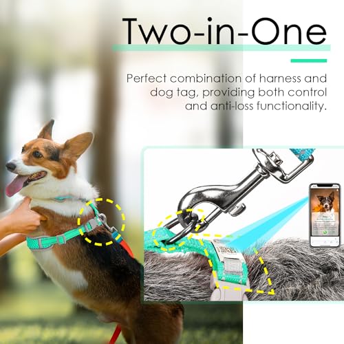 ThinkPet Hundemarke, reflektierend, atmungsaktiv, weiches Air-Mesh mit QR-Code, Erstickungsfrei, für Welpen, kleine, mittelgroße Hunde und Katzen, klein, blaugrün