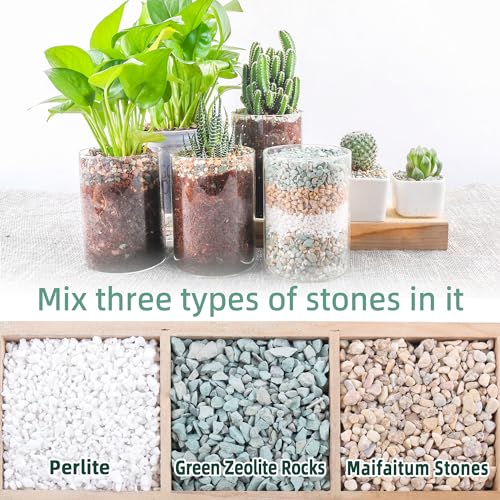 Image of 18lb Mix Rocks for Plants in Door -Mix Perlite,Maifanitum Stones,Zeolites Rocks for Bonsai Succulent Cactus Potting Soil and Vase Fillers, Fairy Gardening,Top Dressing