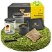 Produktbild PURPLE LEGACY® Abschließbare Box aus Kiefernholz mit Zahlenschloss | Multifunktionale Aufbewahrungsbox Glasbehälter und Zubehör | Geschenk Set