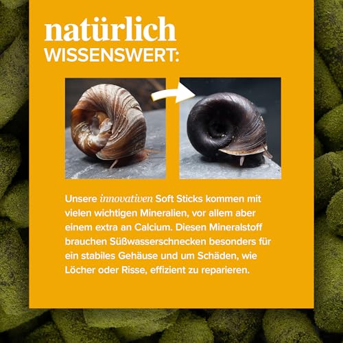 NatureHolic Snailfeed Sticks - Schneckenfutter fürs Aquarium - extra viel Calcium - mit Moringa & Spirulina - Futter für Schnecken - Made in Germany