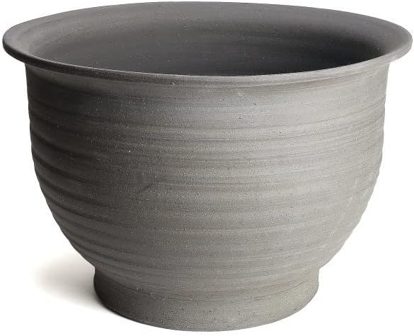 マシス M&M アガベ チタノタ 多肉植物 鉢植え ハチ プランター Amazon