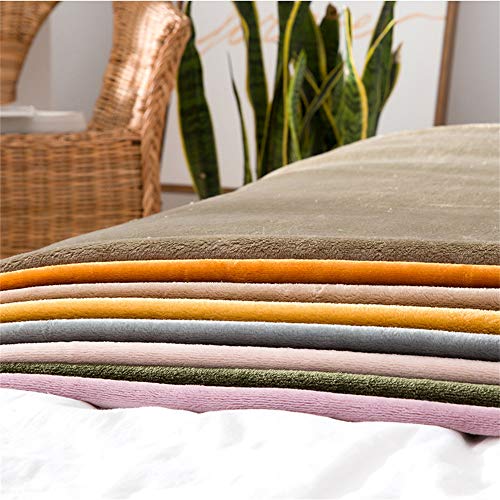 Yumuo Flannel Solid Color Blanket, Ultra-Soft Plush Full Size All Season Light Weight Blanket,Wrinkle-Resistant Blanket For Home Bedroom-D (63X87Inch) #TOP2