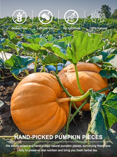 Image of TeeLux Pumpkin Tea, Dried Pumpkin Cubes for Tea, Baking & Cooking, 16oz | Natural Pumpkin Chunks with Lightly Sweet Taste & Pumpkin Aroma, Caffeine Free, Versatile for Cooking & Recipes