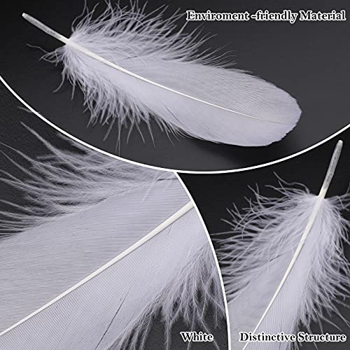 MWOOT 4 Styles Assorted Crafts Feathers, 400Pcs White Feathers - Image 3