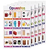 Opuestos Spanisches Diagramm für Vorschule bis Schulkinder, Gegensätze, visuelle Lernhilfe, Poster, Dekoration für Klassenzimmer und Zuhause, glänzender, langlebiger Karton, 27,9 x 43,2 cm, 5 Stück