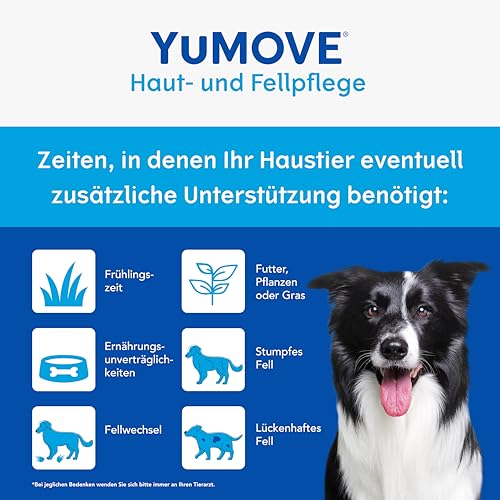 YuMOVE Haut und Fell Hund Ergänzungsmittel - 91,5 g Pulver 180 Portionen - Für alle Hunde - Nährt Haut und Fell von innen - Glänzendes Fell und Hautschutz - Mit Omega-Fettsäuren - Hautpflege für Hunde