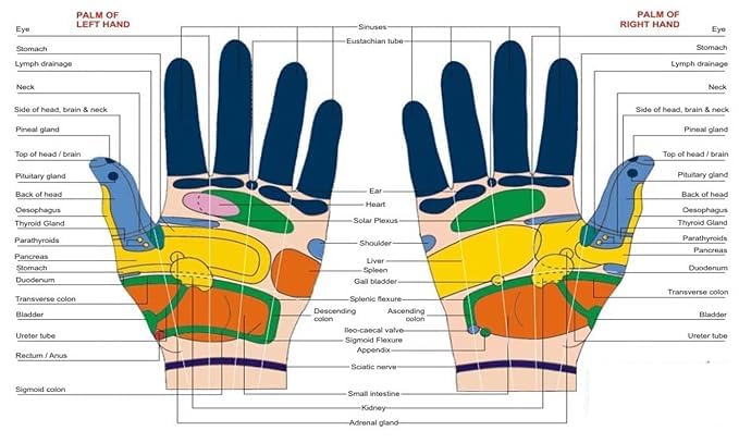 Image of OMDARIYA acupressure Point Clip, Acuplus Clip to Lower Blood Sugar, Tiger Mouth Thumb Tiger Acupoint Massage Magnetic Clip