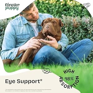 Vision Supplement for Dogs - Eye Tincture for All Breeds & Sizes - Eye Supplements for Dogs w/Bilberry & Eyebright Herb - Liquid Vitamins and Supplements for Eye Care and Vision - 4 oz Vision Supplement for Dogs – Eye Tincture for All Breeds & Sizes – Eye Supplements for Dogs w/Bilberry & Eyebright Herb – Liquid Vitamins and Supplements for Eye Care and Vision – 4 oz