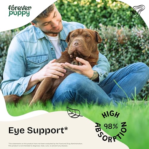 Vision Supplement for Dogs – Eye Tincture for All Breeds & Sizes – Eye Supplements for Dogs w/Bilberry & Eyebright Herb – Liquid Vitamins and Supplements for Eye Care and Vision – 4 oz Vision Supplement for Dogs – Eye Tincture for All Breeds & Sizes – Eye Supplements for Dogs w/Bilberry & Eyebright Herb – Liquid Vitamins and Supplements for Eye Care and Vision – 4 oz