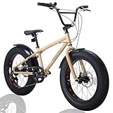 Discovery Adventures (ディスカバリー アドベンチャーズ) クルーザー City Cruiser Fat BMX 自転車 シティ ファットバイク フリースタイル 街乗り 20インチ サイドスタンド ディスクブレーキ (New Bisquit Beige)