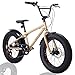 Discovery Adventures クルーザー City Cruiser Fat BMX 自転車 シティ ファットバイク フリースタイル 街乗り 20インチ サイドスタンド ディスクブレーキ