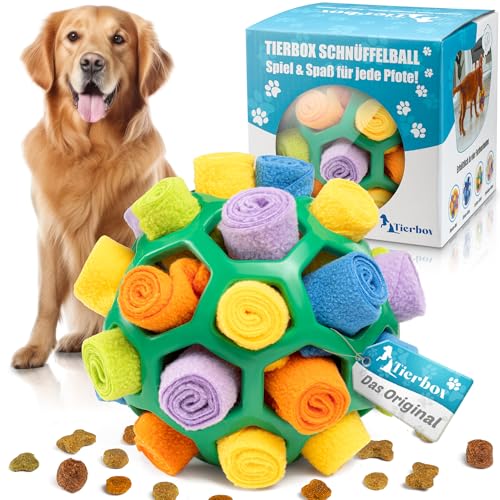 Tierbox Schnüffelball für Hunde Intelligenzspielzeug [für alle Hunde] Schnüffelspiele Hund | Kaktus Grün