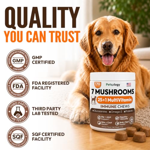 Image of (2 Pack) Turkey Tail Mushroom for Dogs - 340 Chews - Mushrooms for Dogs
