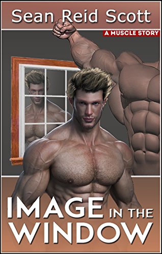Image in the Window