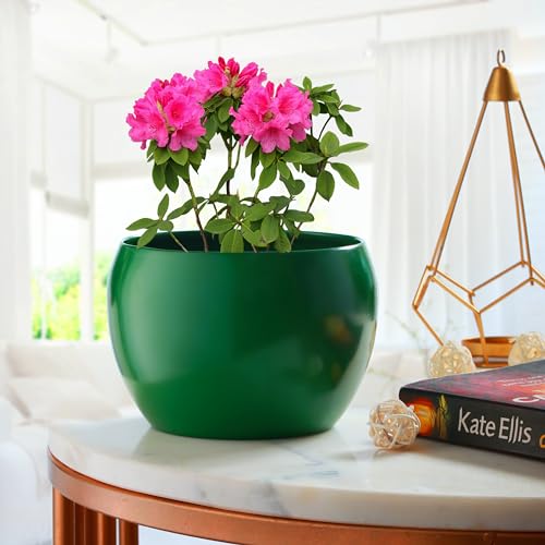 Image of Sunshine Elegant Matte Finished Dustfree Tabletop Green Flower Pot Planter | Metal Plant Pot for Indoor Succulent Plants, Living Room, Home Decor, Office, Restaurant