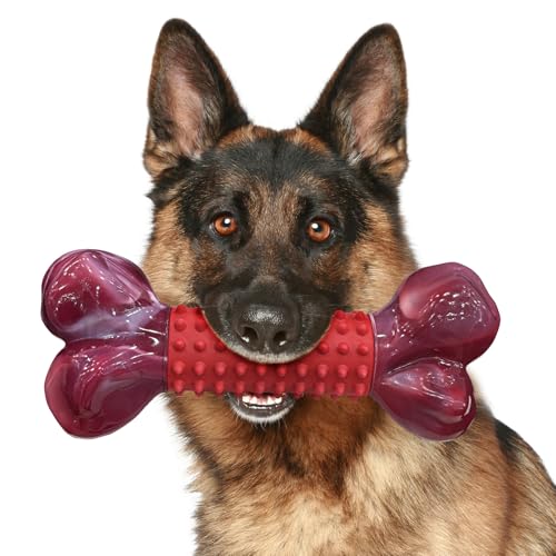 ChienBox Juguetes para Perros Indestructible: Mordedor Perro para Masticadores Agresivos, Juguete Perro para Perros Medianos y Grandes, Nailon Duradero y Caucho Natural, Sabor A Carne de Res, Rojo
