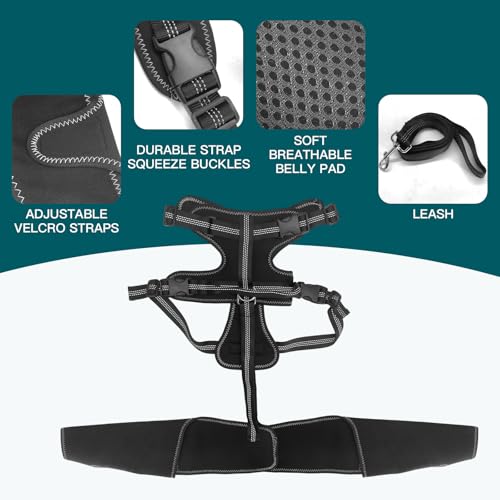 Image of Adjustable Dog Knee Brace with Leash, Hind Leg Support for Joint Pain, ACL Injury Recovery, Anti-Lick Wrap Harness Set
