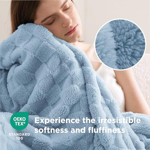 Bedsure GentleSoft Blankets Queen Size for Bed - Super Soft Cozy Blanket for Women Men Girls, Large Fuzzy Fleece Throw for Bedroom Decor, Light Blue, 90x90 Inches