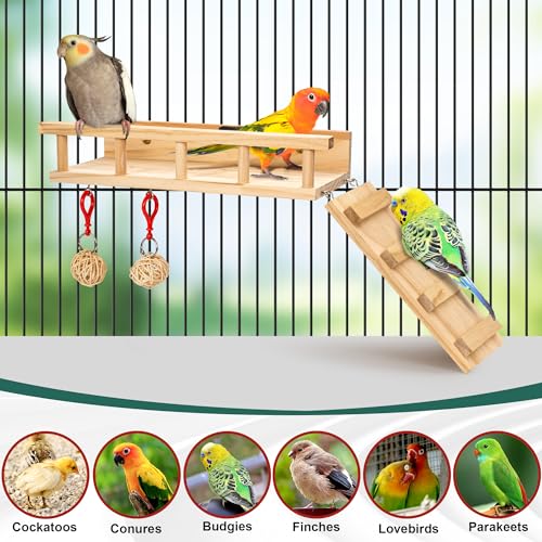 PETOGOs-Wooden-Bird-Perch-Platform-Stand-with-Ladder-and-Rattan-Toys-Made-from-Natural-Wood-for-SmallMedium-Birds-Parakeet-Cockatiel-Conure-in-a-Cage-Flat-Perches-for-Bird-Cages