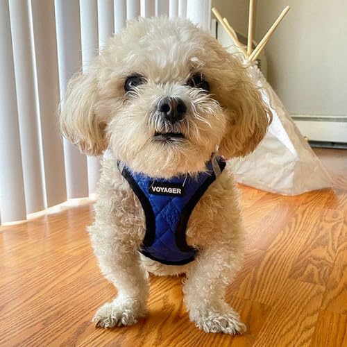 Best Pet Supplies Peitoral De Pelúcia Voyager Step-In Para Cães Pequenos E Médios – Da – Couro Sinté