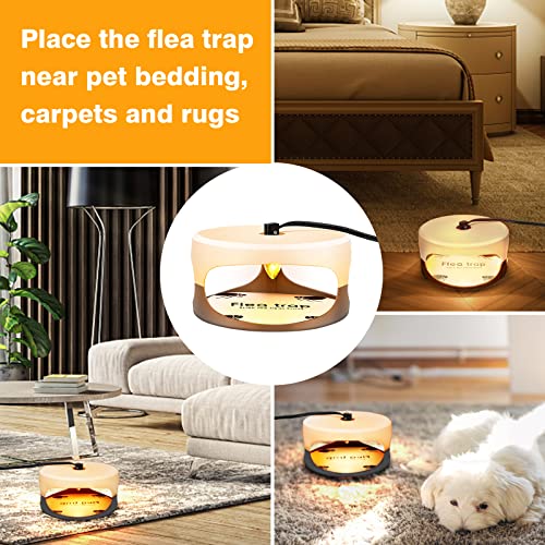 Flea Traps For Inside Your Home 4 Packs, Flea Light Trap For Indoor, Bed Bug Killer With Sticky Pads & Light Bulb Replacement, Natural Flea Insect Infestation Treatment Trap. #TOP7