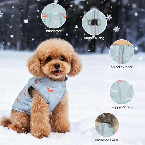 Asmea Hundemantel Winter Hundejacke Warme Hundemantel für Kleine Hunde Winddichte Hundeweste mit Geschirr Loch Schwach Wasserdicht Weihnachten Hundejacke für Chihuahua Dackel Grau Blau XXS