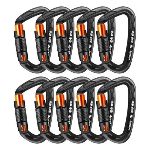 UIAA Certified Professional Heavy Duty Large Locking Carabiner Clips Climbing Carabiner 25kN Auto Locking Carabiner for Rock/Ice Climbing Rappelling Rescue Swing etc, D Shaped