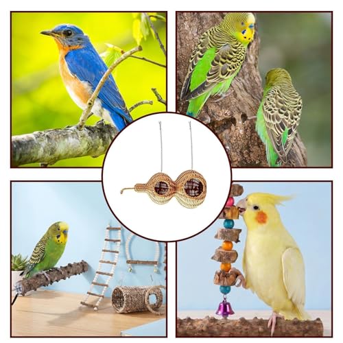 Nid pour cage à oiseaux calopsitte et canaris avec accessoires de jeu