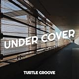 Turtle groove