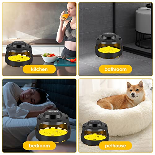 Flea Trap Indoor,Flea Strap Flea Killer Trap Pad Bed Bug Trap With 10 Glue Discs Odorless Non-Toxic Flea Light Bulb For Inside Your Home Like Fleas, Flies, Mosquitoes, Gnats, Moths, Etc. #TOP4