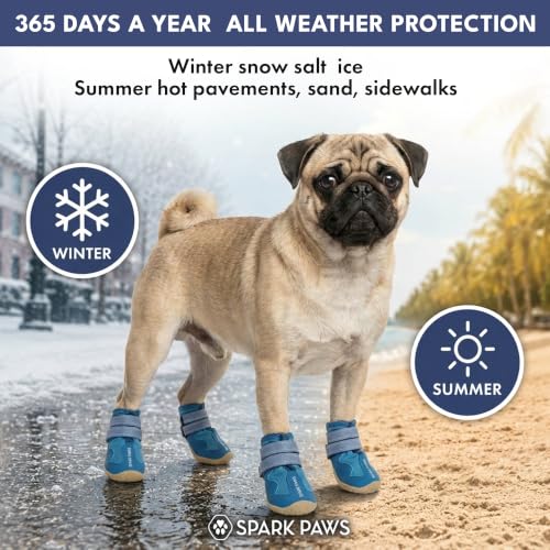 Image of Spark Paws 365 Dog Shoes - All-Weather Paw Protection | Winter Snow Boots & Summer Hot Pavement Booties for Dogs | All-Terrain, Water-Resistant, Blue - Size 3