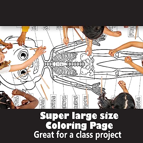 Snapklik.com : Human Anatomy Skeleton Giant Coloring Page For Kids