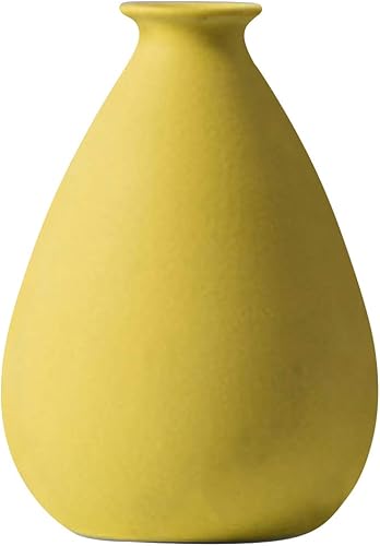 Miniatura 9 de Queenbox Jarrón pequeño de cerámica seca, jarrones nórdicos simples mate, mesa decorativa para habitación, cocina, oficina, centros de mesa, ramo,