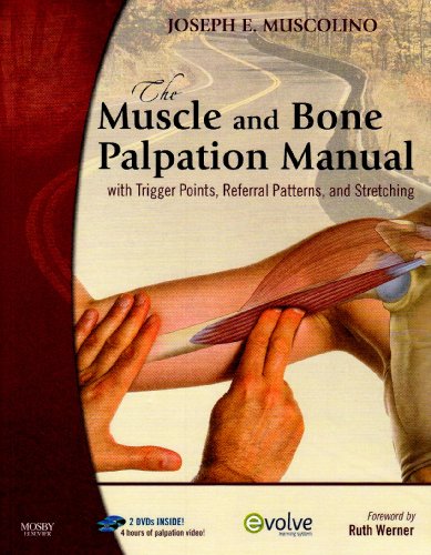 The Muscle and Bone Palpation Manual with Trigg... 0323065872 Book Cover